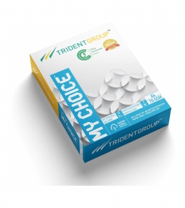 My Choice Trident Unruled A4 70 gsm Printer Paper (Set of 1, White)