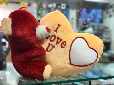 Smart Gift Personalized / Customized Soft Teddy Bear with Photo / Message Gifts (Multicolour)